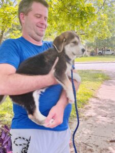 Paws_Fur_Help_2022_429