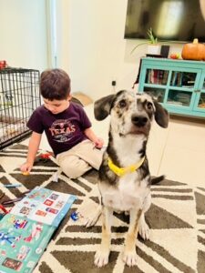 Paws_Fur_Help_2024_343