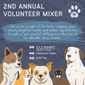 Earthy Cute Illustrative Pet Care Instagram Post – 1