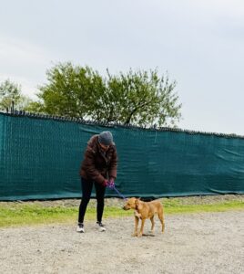 Paws_Fur_Help_2025_111